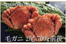 C-57056【北海道根室産】毛がに2尾(計700g前後)