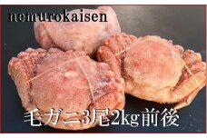 E-57007 【北海道根室産】毛がに3尾(計2kg前後)