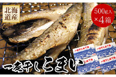 A-56028 一夜干こまい500g×4P