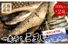 G-56007 一夜干こまい500g×2P