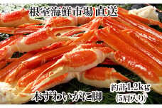 A-14261 ボイル本ずわいがに脚5肩(計約1.2kg)