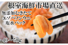 G-11069 無添加むきたてエゾバフンウニ(赤系)塩水パック40～50g×1P
