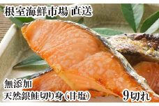 G-11075 無添加天然銀鮭切身9切