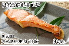 G-14075 無添加天然銀鮭切身9切
