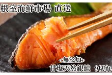 G-28075 無添加天然銀鮭切身9切