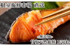 A-28255 無添加天然銀鮭切身16切