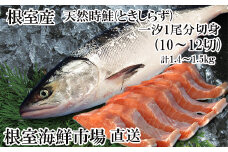 B-14121 【北海道根室産】無添加天然時鮭(トキシラズ)1尾分切身(10～12切)