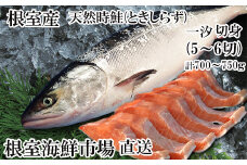 A-14271 【北海道根室産】無添加天然時鮭(トキシラズ)半身分切身(5～6切)