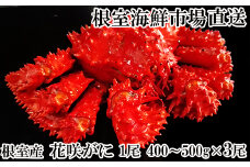 B-11119 【北海道根室産】花咲ガニ400～500g×3尾