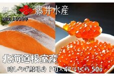 A-42134 【北海道根室産】時しらず鮭1切×4P・いくら醤油漬け50g×2P