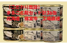 E-78008 水煮缶詰セット36缶
