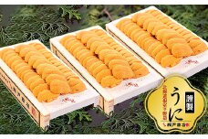 D-29007 エゾバフンウニ100g×3折