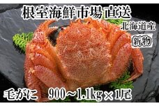 F-14029 ボイル毛がに900g～1.1kg×1尾