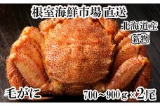 D-28055 根室海鮮市場＜直送＞ボイル毛がに700～900g×2尾