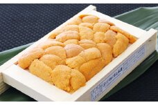 G-53001 エゾバフンウニ(赤系)約50～60g×1折[10月下旬以降発送]