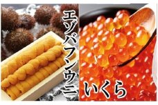 E-40029 エゾバフンウニ140g×1折、いくら醤油漬150g×1P[11月下旬以降発送]