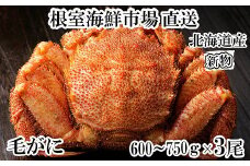 D-28062 根室海鮮市場<直送>ボイル毛がに600～750g×3尾