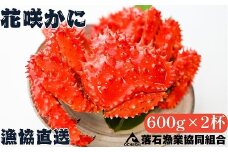 B-20001  【北海道根室産】花咲がに600g前後×2尾