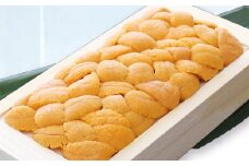 A-71049 エゾバフンウニ(黄色～赤系)100～110g×1折[11月上旬以降発送]