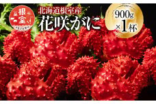 B-20014 【北海道根室産】花咲かに900g×1尾