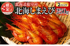 B-20013 【北海道根室産】北海しまえび250g×2P(計22～32尾)