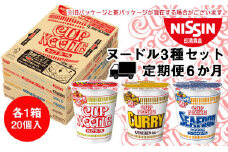 【定期便6か月】日清ヌードル3種セット 各1箱（20食）合計3箱