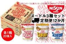 【定期便12か月】日清ヌードル3種セット 各1箱（20食）合計3箱