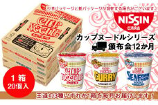 【頒布会12か月】日清　カップヌードルシリーズ20個入