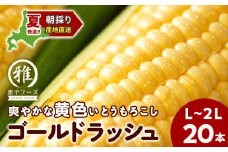 2025年夏発送 とうもろこし ゴールドラッシュ L～2L 20本