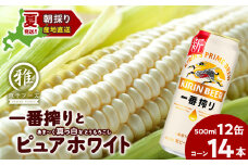 2025年夏発送 キリン一番搾り 500ｍl 12缶＆白いとうもろこしピュアホワイト14本