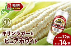 2025年夏発送 キリンラガービール 500ｍl 12缶＆白いとうもろこしピュアホワイト14本