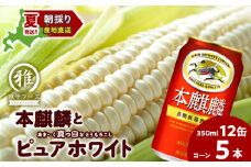 2025年夏発送 キリン本麒麟350ｍl 12缶＆白いとうもろこしピュアホワイト5本