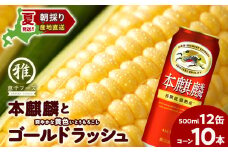 2025年夏発送 キリン本麒麟500ｍl 12缶＆黄色いとうもろこしゴールドラッシュ10本