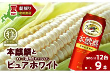 2025年夏発送 キリン本麒麟500ｍl 12缶＆白いとうもろこしピュアホワイト9本