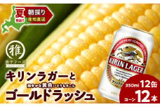 2025年夏発送 キリンラガービール 350ｍl 12缶＆黄色いとうもろこしゴールドラッシュ12本