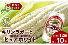 2025年夏発送 キリンラガービール 350ｍl 12缶＆白いとうもろこしピュアホワイト10本