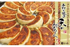 こだわりの手打ち餃子★天のびろく 3種セット＜手打ち餃子のびろく＞