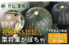 【2025年9月末より発送】栽培期間農薬不使用！有機栗将軍かぼちゃ ４～8玉入り（約10kg）【かねこ農園】