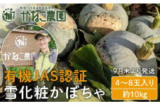 【2025年9月末より発送】栽培期間農薬不使用！有機雪化粧かぼちゃ ４～８玉入り（約10kg）【かねこ農園】