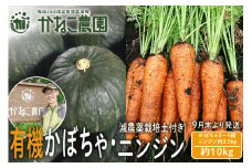 【2025年9月末より発送】栽培期間農薬不使用有機かぼちゃ・減農薬栽培土付きニンジンセット【かねこ農園】