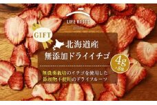 【ギフト用】《北海道産》無添加ドライイチゴ
