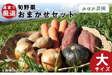 【2025年秋発送】農家で厳選！ 秋野菜 おまかせ セット （大） 野菜 じゃがいも かぼちゃ にんじん 玉ねぎ ナス さつまいも 千歳 北海道