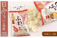 《岩塚製菓》ふわっと えび味 10袋入×2箱 ～北海道工場製造～