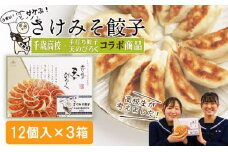 ☆千歳市ふるさと納税☆千歳高校と手打ち餃子天のびろくがコラボ！さけみそ餃子 3箱セット