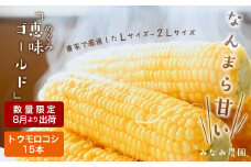 なんまら甘くて食べやすい！2025年 8月より出荷！「 恵味ゴールド 」15本セット とうきび とうもろこし 野菜 コーン 北海道 千歳　