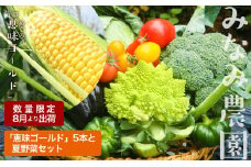 色々楽しめる！2025年8月より順次出荷！「 恵味ゴールド 」5本と 夏野菜 セット とうきび とうもろこし 野菜 コーン 北海道 千歳