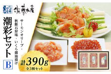 ＜佐藤水産＞潮彩セットB(サーモンオリーブ・石狩味・いくら醤油漬)