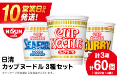 10営業日以内発送 日清ヌードル3種セット 各1箱（20食）合計3箱