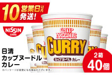 10営業日以内発送 日清★カレーヌードル★ 2箱・合計40食