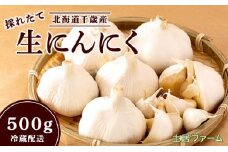 2025年発送 生にんにく500g(7～9個入)【土居ファーム】 にんにく ニンニク 野菜 北海道 千歳 国産
